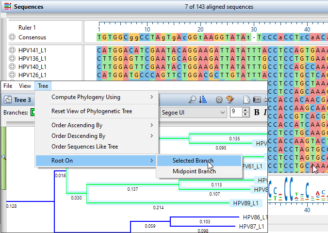 MAProTreeSelection Selected phylogenetic tree branch in MegAlign Pro